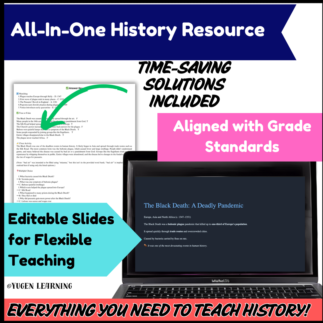 Overview History, Introduction to The Black Death, slides (Digital & Printable)